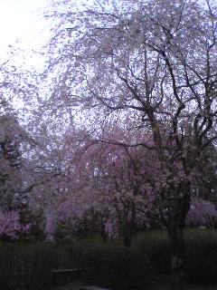 070415_1730~01.jpg